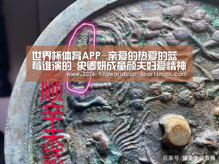  世界杯登录入口