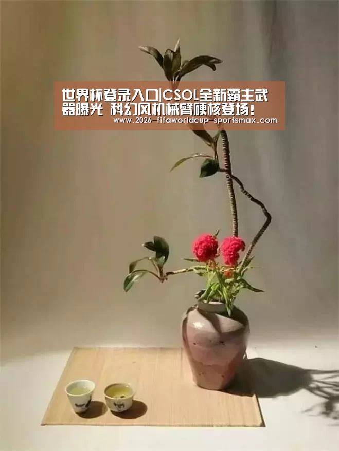 世界杯体育APP