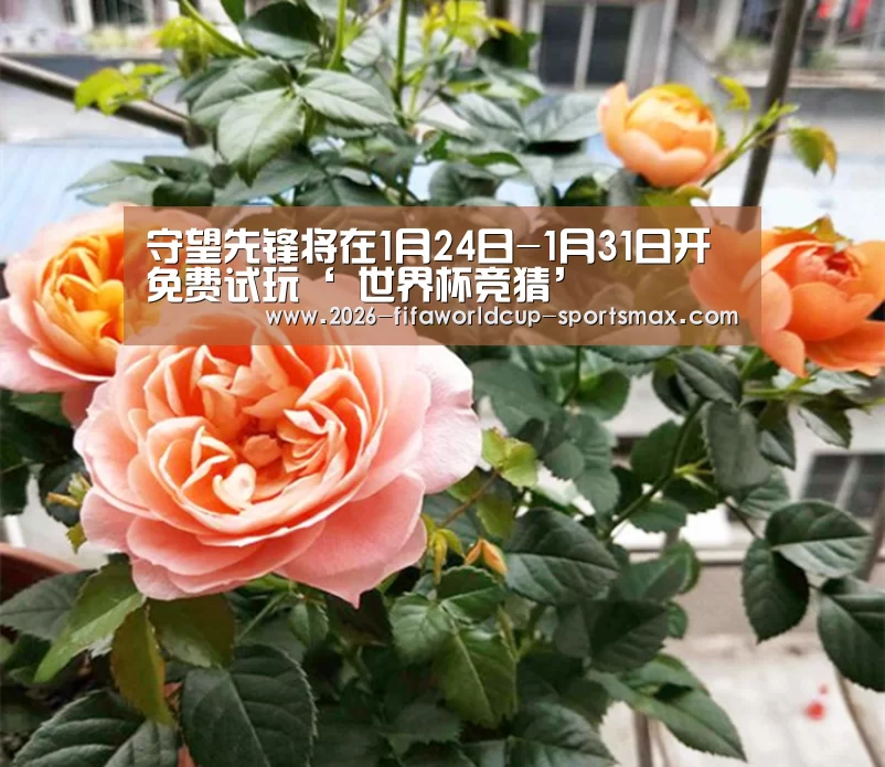 守望先锋将在1月24日-1月31日开免费试玩‘ 世界杯竞猜’