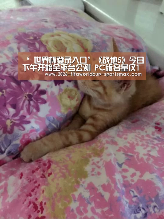 ‘ 世界杯登录入口’《战地5》今日下午开始全平台公测 PC版容量仅12G(图1) 世界杯登录入口
